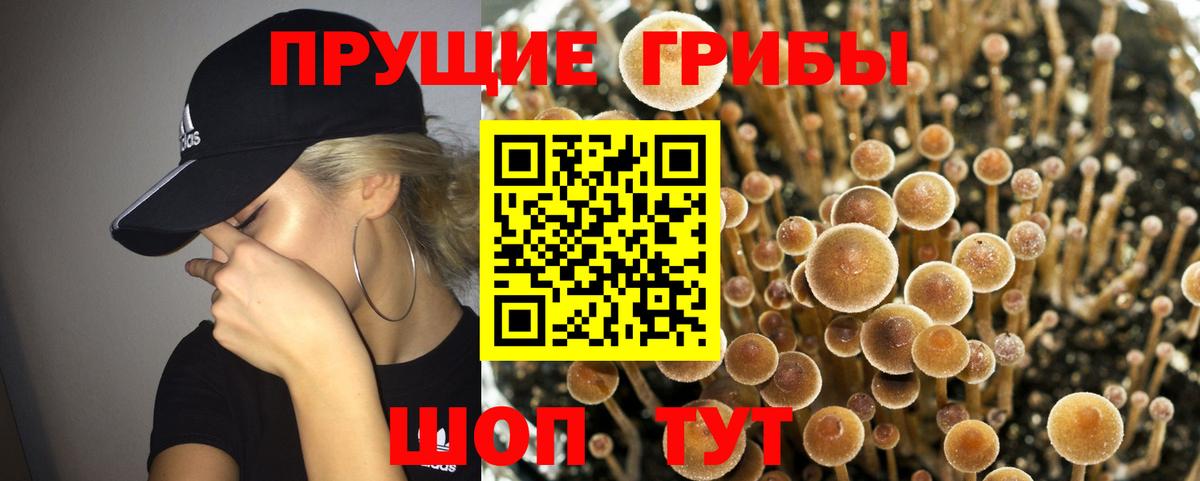 Дубна  Каннабис  МДМА  Вход с VPN  Гашиш  Меф МЯУ МЯУ   Cocaine  Канабис  Экстази 