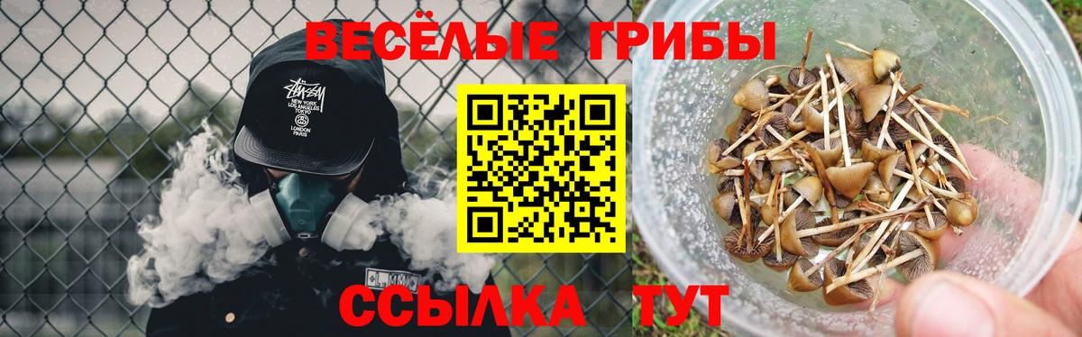 Дубна  Псилоцибиновые грибы GOLDEN TEACHER  Вход с VPN 