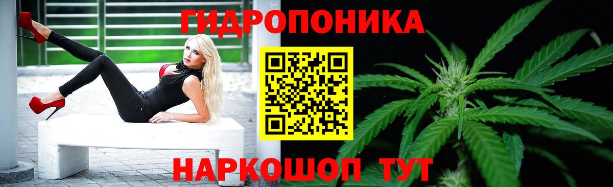 Бошки Шишки гибрид Дубна